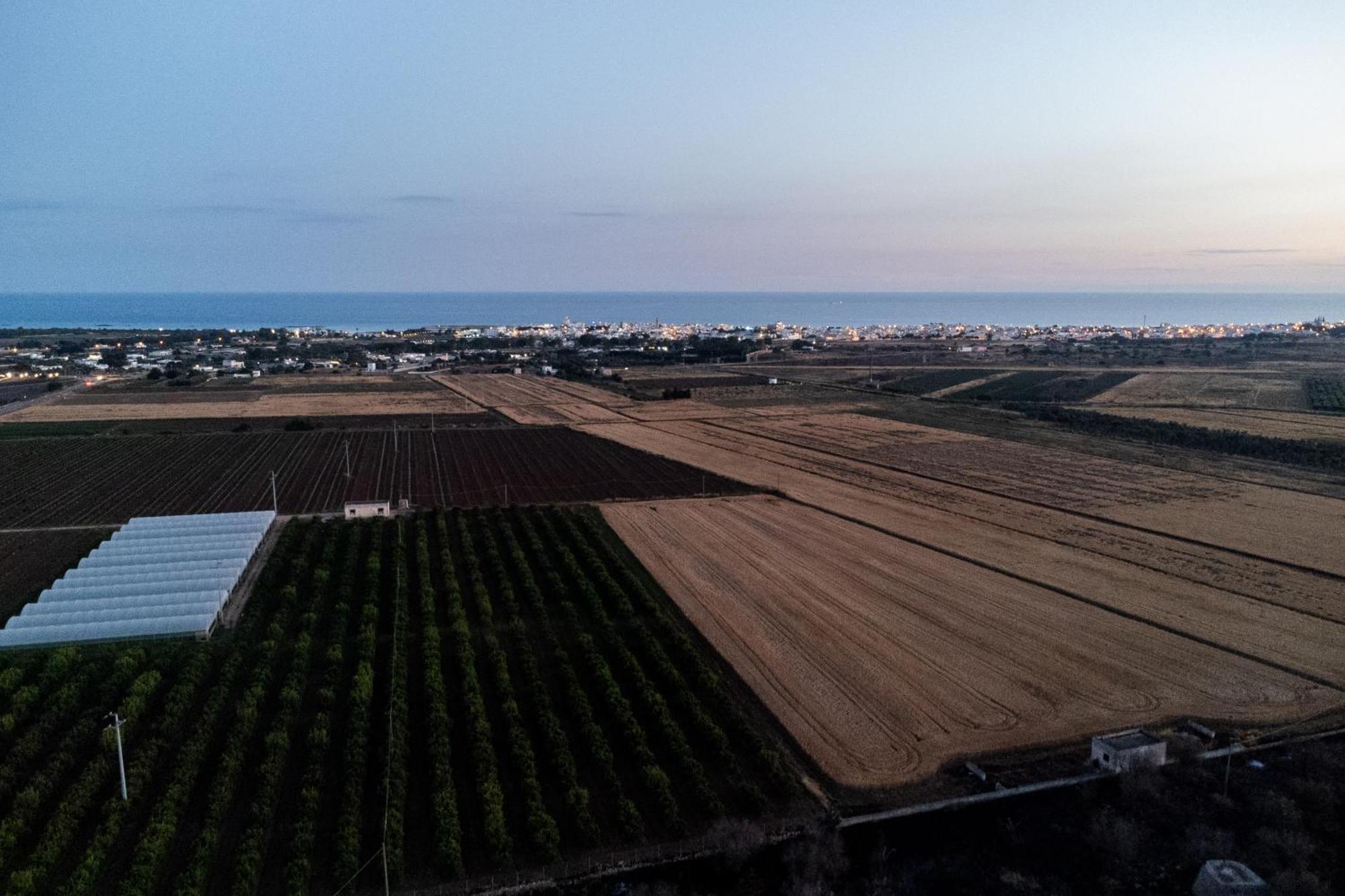 Apartamento Dimora Soleda Torre San Giovanni Exterior foto